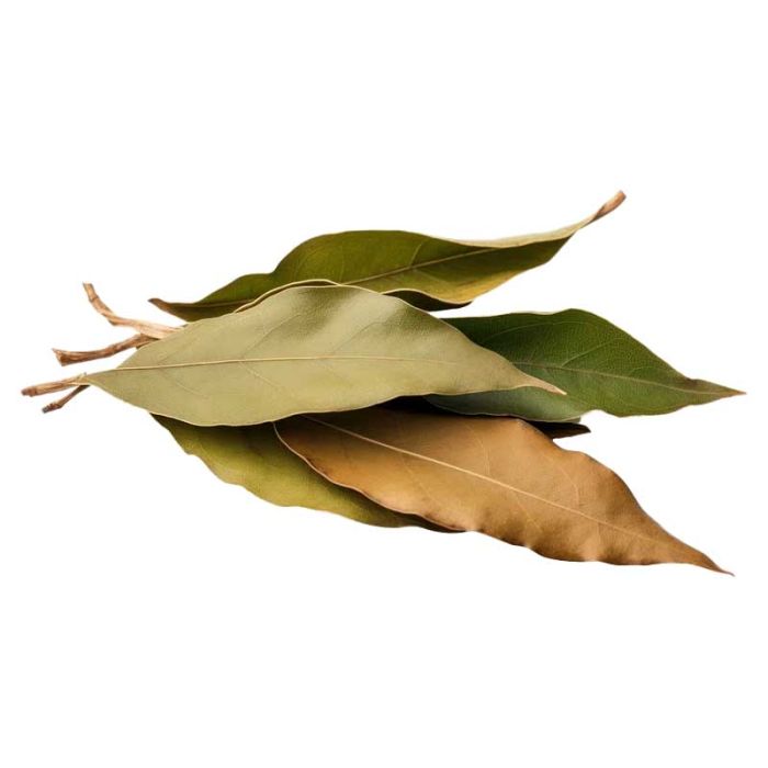 Bay Leaf