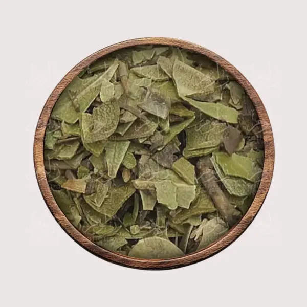 عشبة عنب الدب – أعشاب طبيعية من زلوم شوب