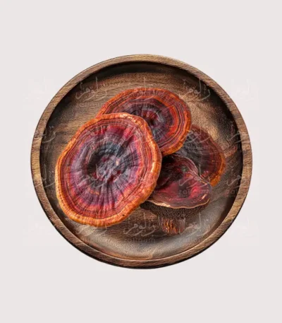 فطر ريشي – أعشاب طبيعية من زلوم شوب