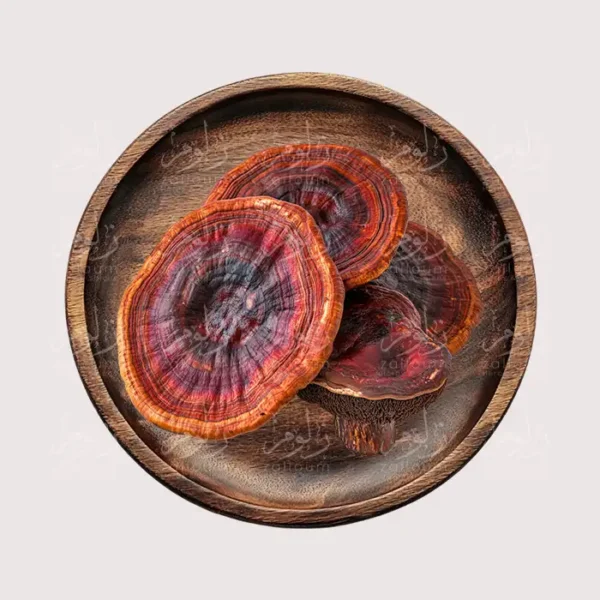 فطر ريشي – أعشاب طبيعية من زلوم شوب