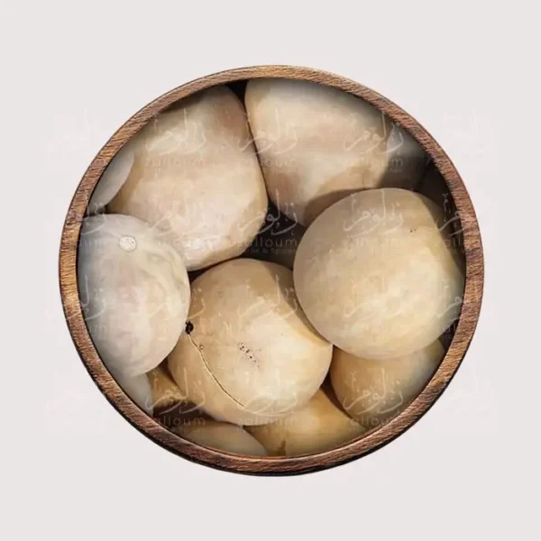 حنظل - أعشاب طبيعية من زلوم شوب