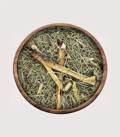 عشبة ذيل الحصان - أعشاب طبيعية من زلوم شوب