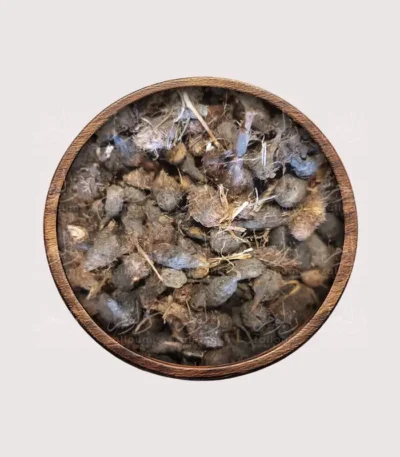 عشبة السعد– أعشاب طبيعية من زلوم شوب