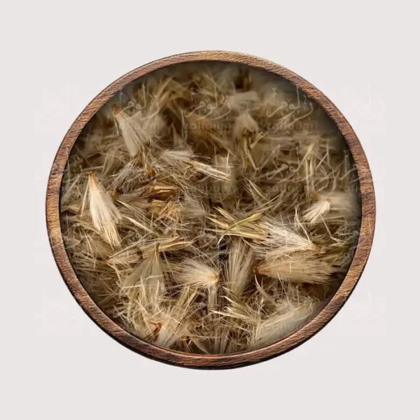 شوك الجمل - أعشاب طبيعية من زلوم شوب