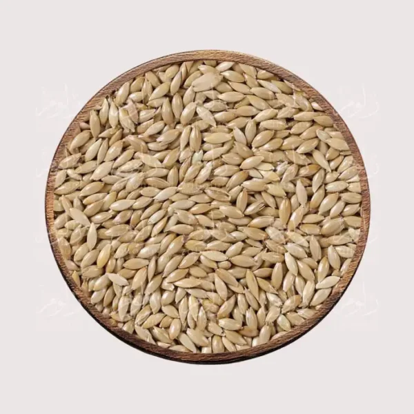 بذور البريق - متجر زلوم