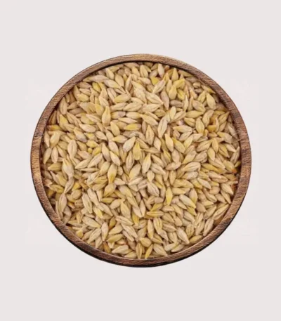 شعير بلدي - متجر زلوم