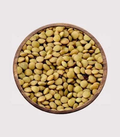 عدس حبة كبيرة - متجر زلوم