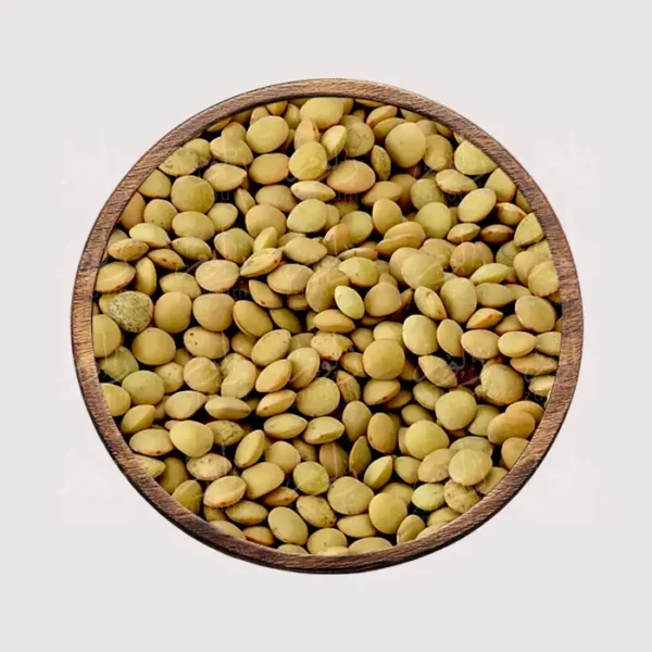 عدس حبة كبيرة - متجر زلوم